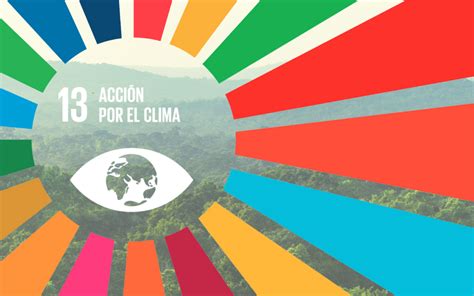 Día Internacional Contra El Cambio Climático Archives Empresas Por La