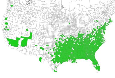 Two Invasive Plants To Weed Out Now Uga Extension Forsyth County