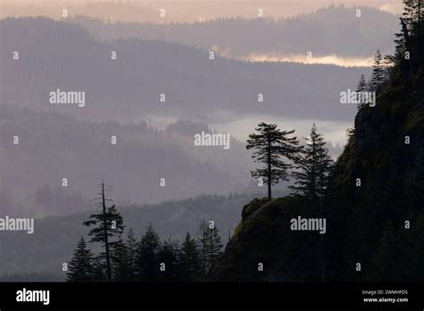 View From Summit Viewpoint Saddle Mountain State Park Oregon Stock