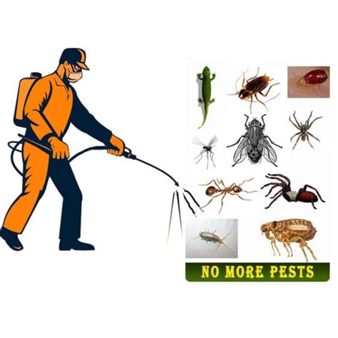 Types of Pest Control Methods Types of Pest Control Methods Tips