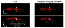 Compton Imaging Opens Up New Avenues For Diagnostic Imaging Physics World