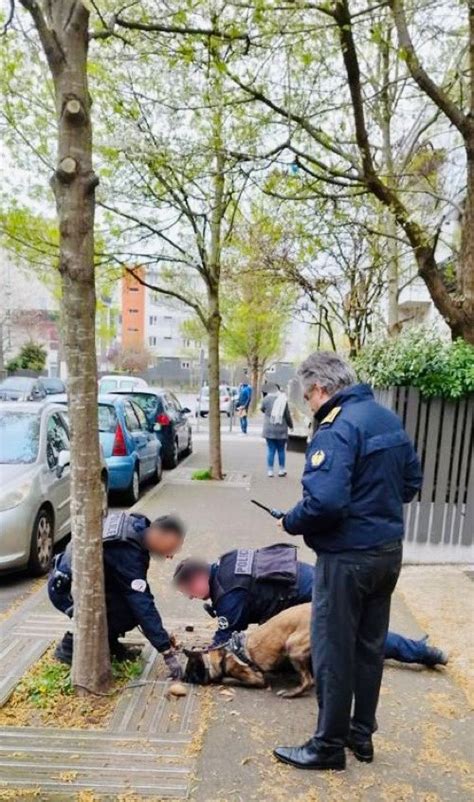 Préfet du Val d Oise on Twitter Opération de sécurisation de lutte