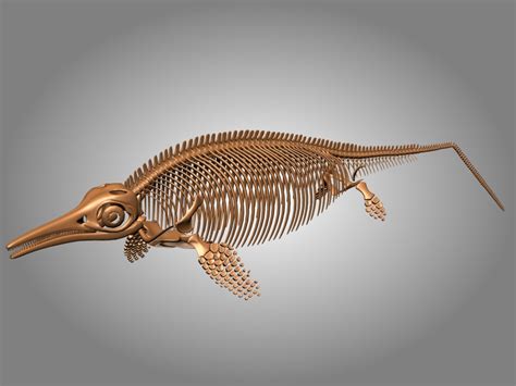 Ichthyosaurus skeleton 3D - TurboSquid 1228832