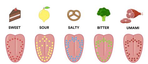 Taste Profiles Oomai Foods