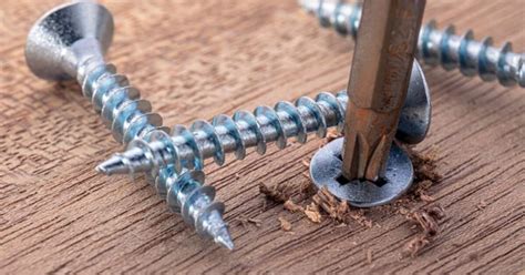 How To Choose The Right Wood Screw For Your Diy Project Picture