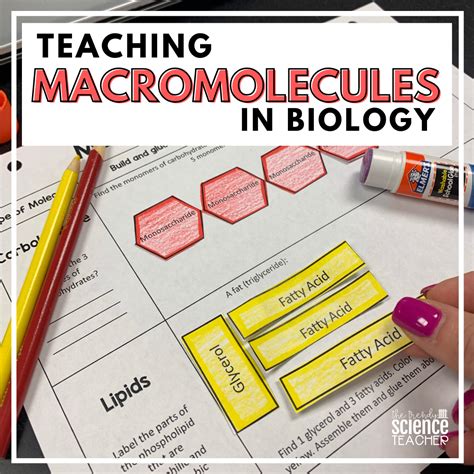 Macromolecules Chart Structures