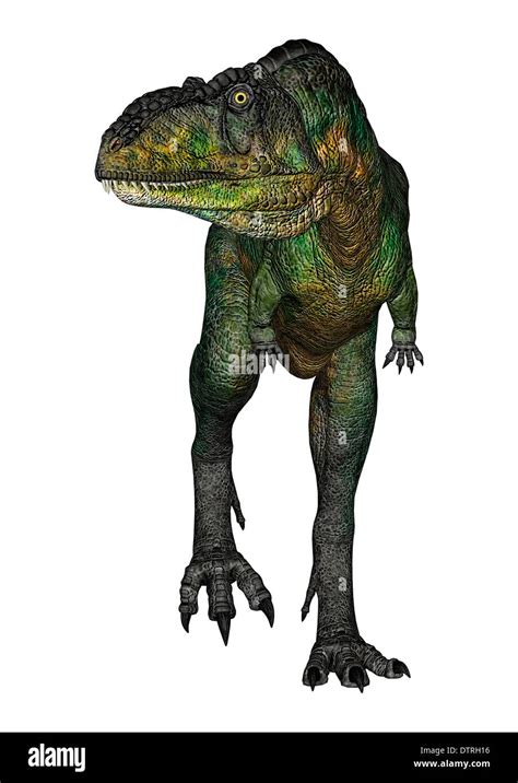 D Digital Render Of A Walking Dinosaur Aucasaurus Isolated On White