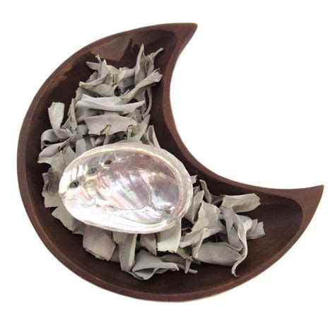 Loose White Sage With Mini Abalone Shell Grove And Grotto