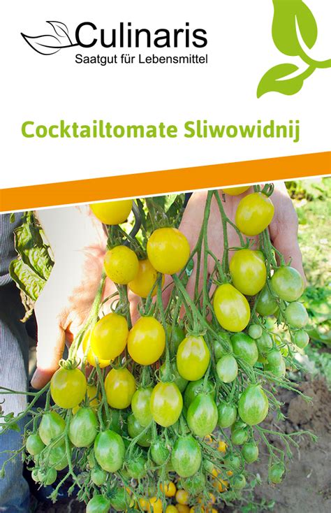 Cocktailtomate Sliwowidnij Bio Cocktailtomatensamen Von Culinaris