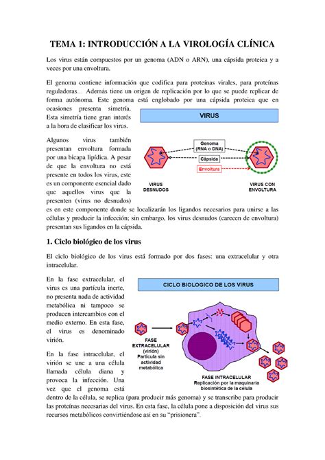 Tema Introducci N A La Virolog A Cl Nica Tema Introducci N A La