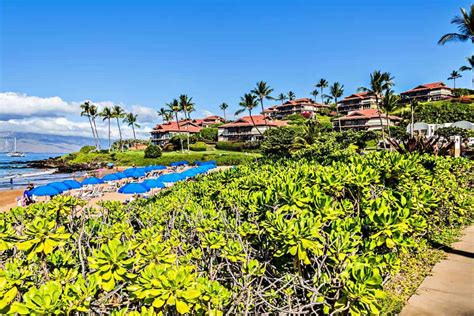 Wailea Beach Maui Hi Best Things To Do 2025