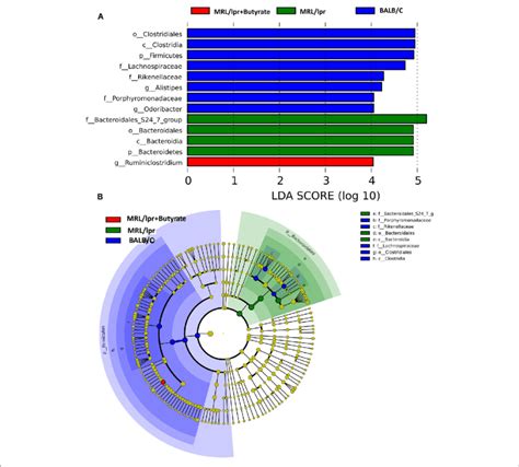 Taxonomic Biomarker Identification In Gut Microbiota By Linear