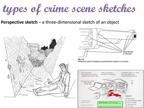 Crime Scene Sketch Examples at PaintingValley.com | Explore collection ...