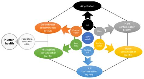 Water Free Full Text A Review On Cadmium And Lead Contamination