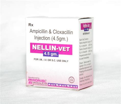 Liquid Ampicillin And Cloxacillin For Injection At Best Price In Surat