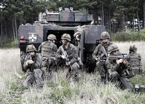 Bundesheer - Medienarchiv Panzer - Fotogalerien - Panzergrenadiere