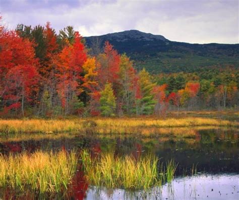 New Hampshire Fall Foliage- 12 Top Spots for NH Fall Color