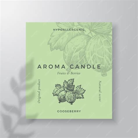 Premium Vector Aroma Candle Vector Label Template Gooseberry Berry