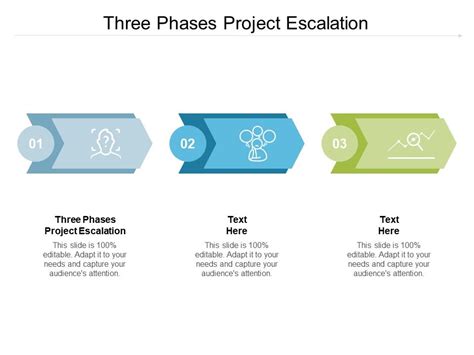 Three Phases Project Escalation Ppt Powerpoint Presentation Model