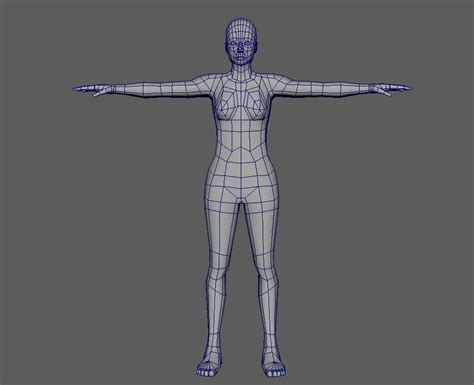 Female Reference For 3d Modeling