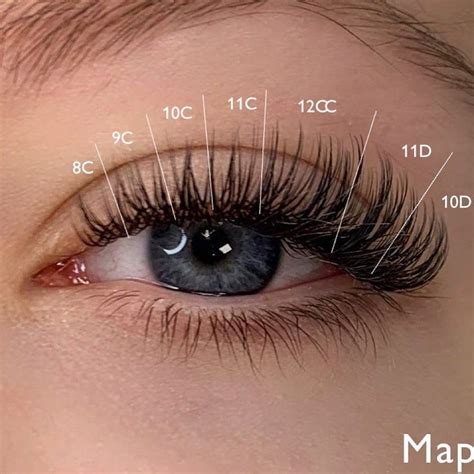 Map For Cat Eyes 【ubl】 Natural Fake Eyelashes Eyelash Extentions