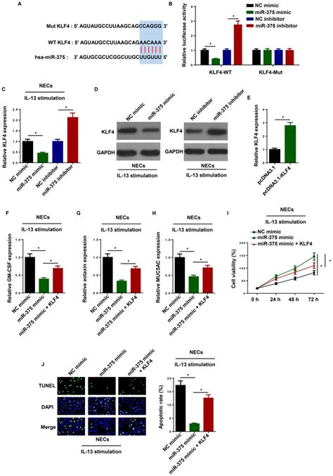 CircARRDC3 Contributes To Interleukin13induced Inflammatory Cytokine