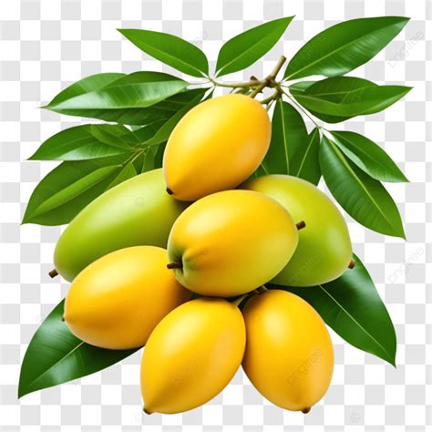 Fresh Mangos Mangos Fruits Png Transparent Image And Clipart For Free