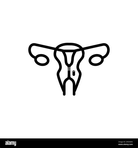 Human Organ Uterus Color Line Icon Isolated Vector Element Outline