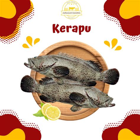 Jual Ikan Kerapu Ukuran Sedang Fresh Kg Shopee Indonesia