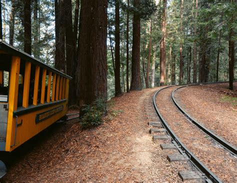 9 Top Things To Do At Henry Cowell Redwoods State Park