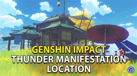 Genshin Impact Thunder Manifestation Location - Gamer Tweak