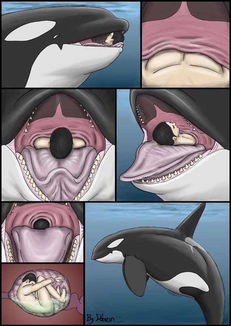 Whale Porn Photos Sex Pics