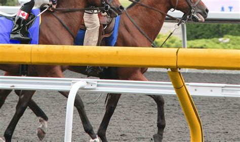 【宝塚記念2024】2週前追い切り・調教内容が高評価の馬トップ3を公開 競馬ヘッドライン