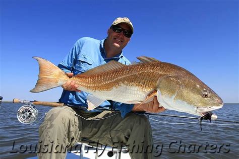 New Orleans Flyfishing For Redfish Mardi Gras On The Water Everyday