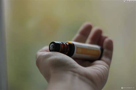 Смесь эфирных масел Doterra Thinker «Мыслитель о море отзывы