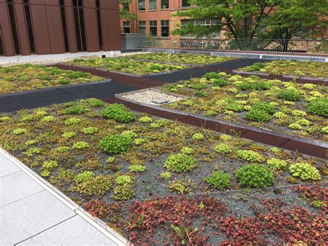 University Of Cincinnati Procter Hall Green Roof