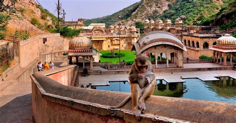 Jodhpur Excursão A Pé Pela Cidade Azul Jodhpur Índia Getyourguide