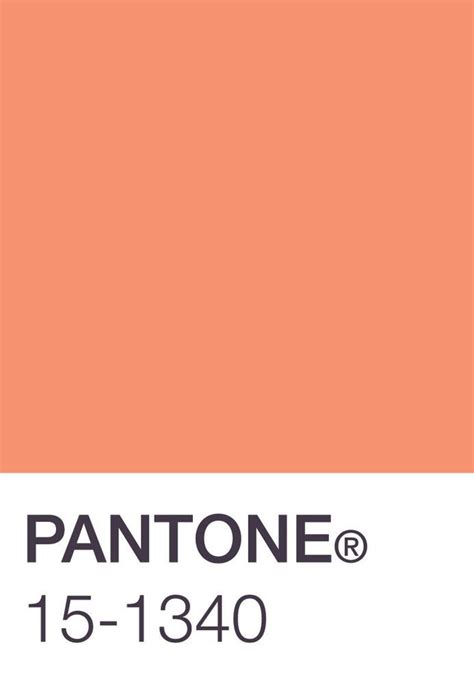 pantone peach | Colour, Fabric & Trims A/W 12/13 | Pinterest | Pantone ...