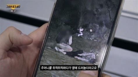 한강 친구와 목격자들그알 손정민 사건 조명 네이트 뉴스