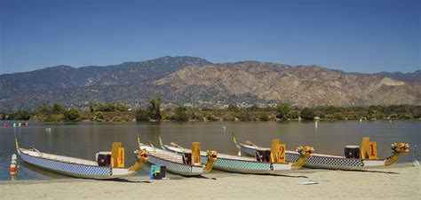 Dog Walkers in Duarte, CA - Dog Walking Near You | Wag!