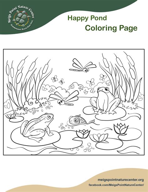 Pond Animals Printables - Printable Word Searches