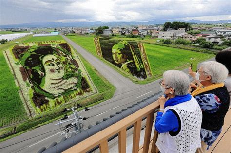 名画 色鮮やか、細密に表現 田舎館、田んぼアート ／青森 毎日新聞