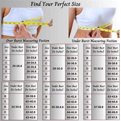 size chart postimages