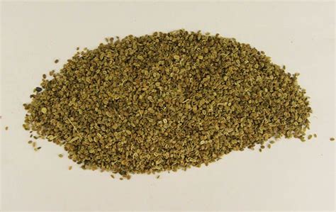 hong dac diem tac dung va bai thuoc tri benh