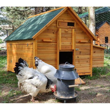 Grand Poulailler Bassette Xxl Poules Toit Vert