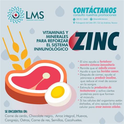 Vitaminas Y Minerales Para Reforzar El Sistema Inmunológico Zing