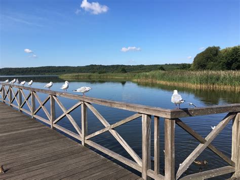 Ostsee - Rügen