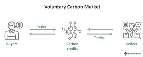 Voluntary Carbon Market What S It Participants Importance