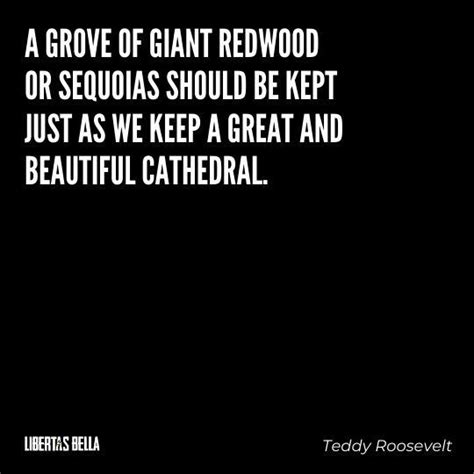 Teddy Roosevelt Quotes on Courage, Conservation, Patriotism | Roosevelt quotes, Teddy roosevelt ...