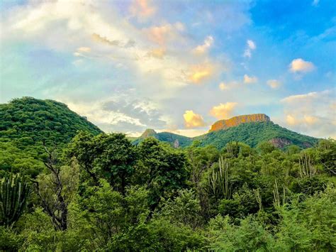 Las Áreas Naturales Protegidas yExplotadas en México Wildlands Network